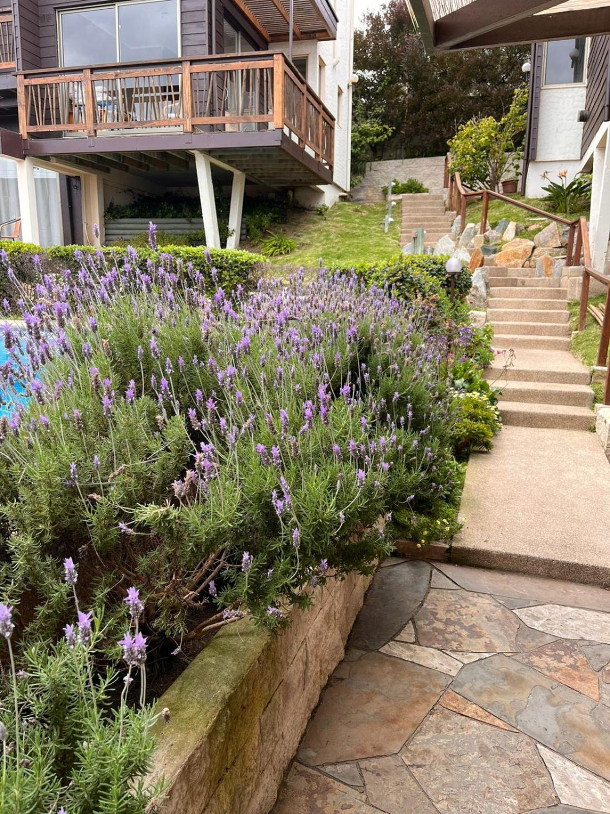 Blumen Hotel Concon Luaran gambar